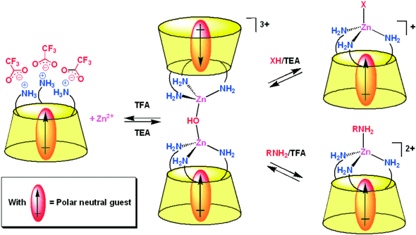 Chem. Eur. J. 2007, 13